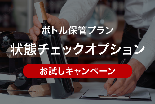 状態チェックオプションお試しキャンペーン